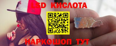 крисы Малгобек