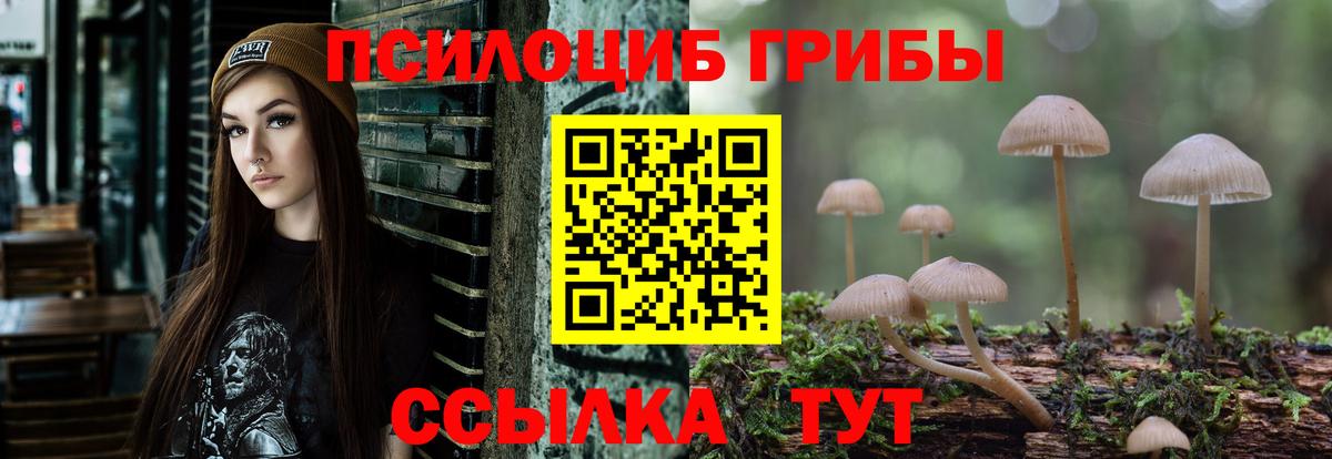 Архангельск  Галлюциногенные грибы прущие грибы  Вход с VPN 
